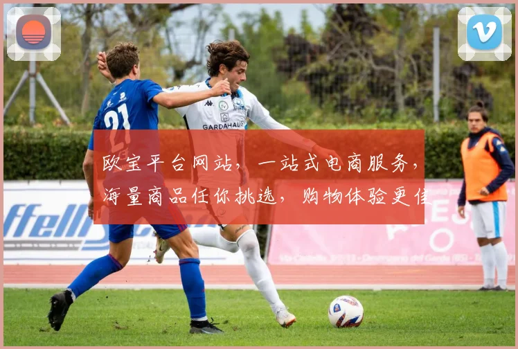 欧宝平台网站，一站式电商服务，海量商品任你挑选，购物体验更佳，尽在欧宝平台
