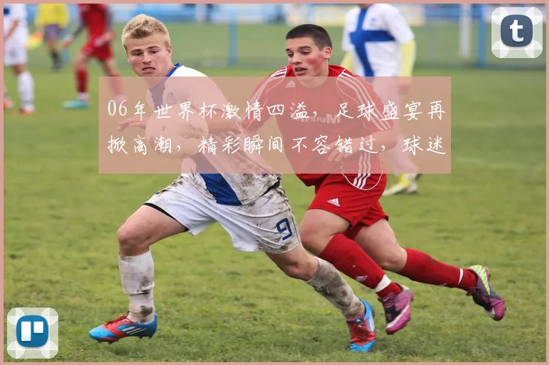 06年世界杯激情四溢，足球盛宴再掀高潮，精彩瞬间不容错过，球迷狂欢盛典