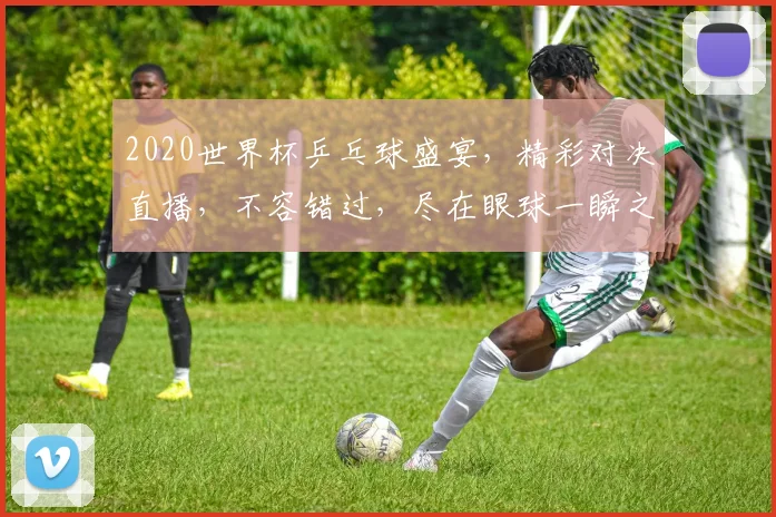 2020世界杯乒乓球盛宴，精彩对决直播，不容错过，尽在眼球一瞬之间，锁定频道