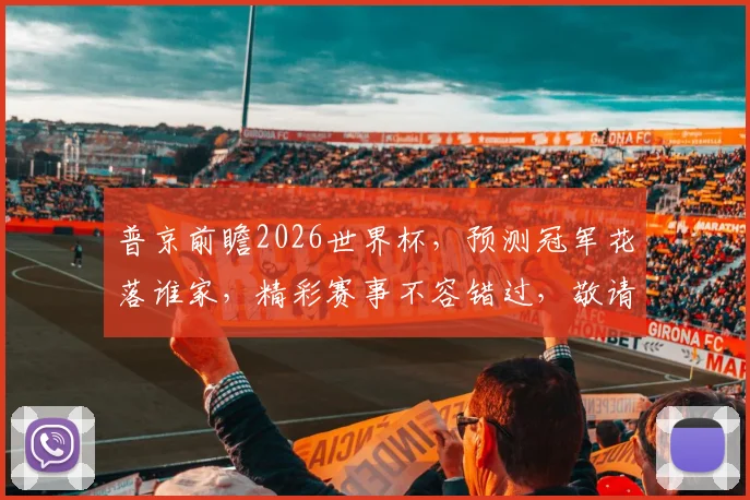 普京前瞻2026世界杯，预测冠军花落谁家，精彩赛事不容错过，敬请期待