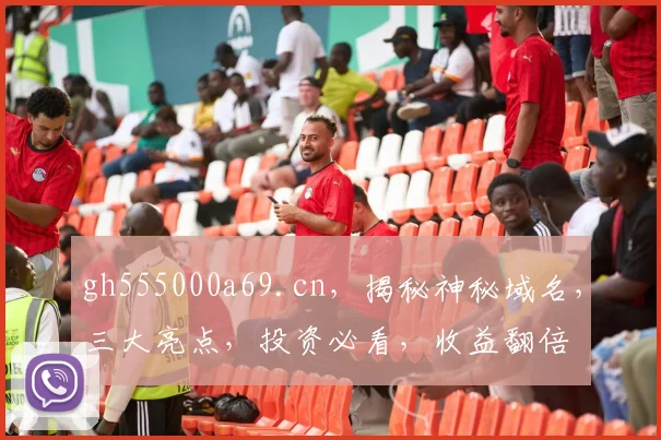 gh555000a69.cn，揭秘神秘域名，三大亮点，投资必看，收益翻倍