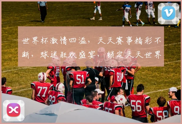 世界杯激情四溢，天天赛事精彩不断，球迷狂欢盛宴，锁定天天世界杯