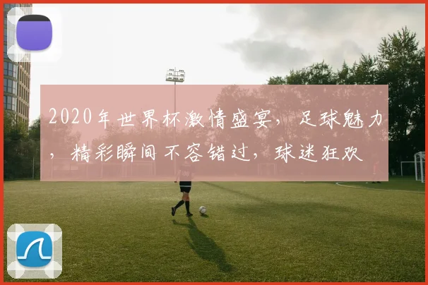 2020年世界杯激情盛宴，足球魅力，精彩瞬间不容错过，球迷狂欢