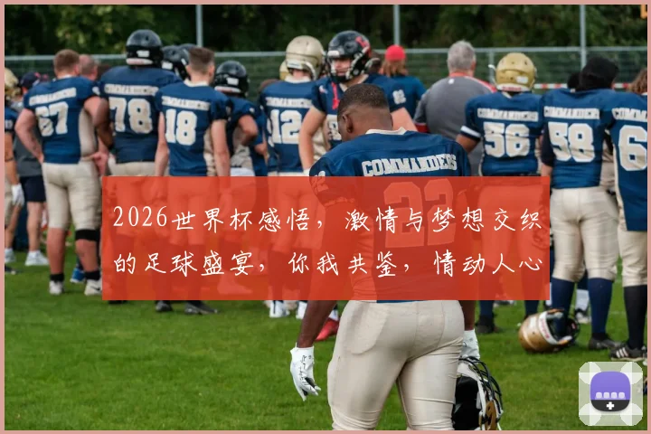 2026世界杯感悟，激情与梦想交织的足球盛宴，你我共鉴，情动人心